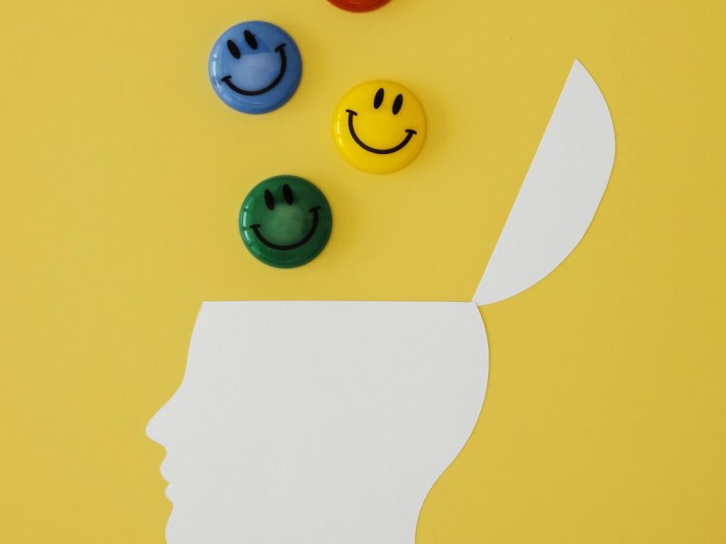 Cerebro Emocional